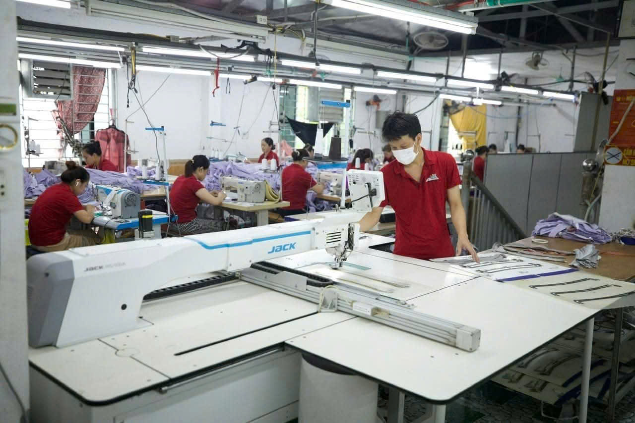 Máy cắt tự động tại nhà máy